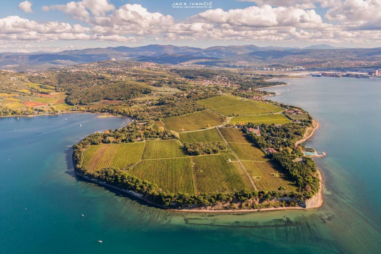 Istrian Lux Residence Koper Buitenkant foto